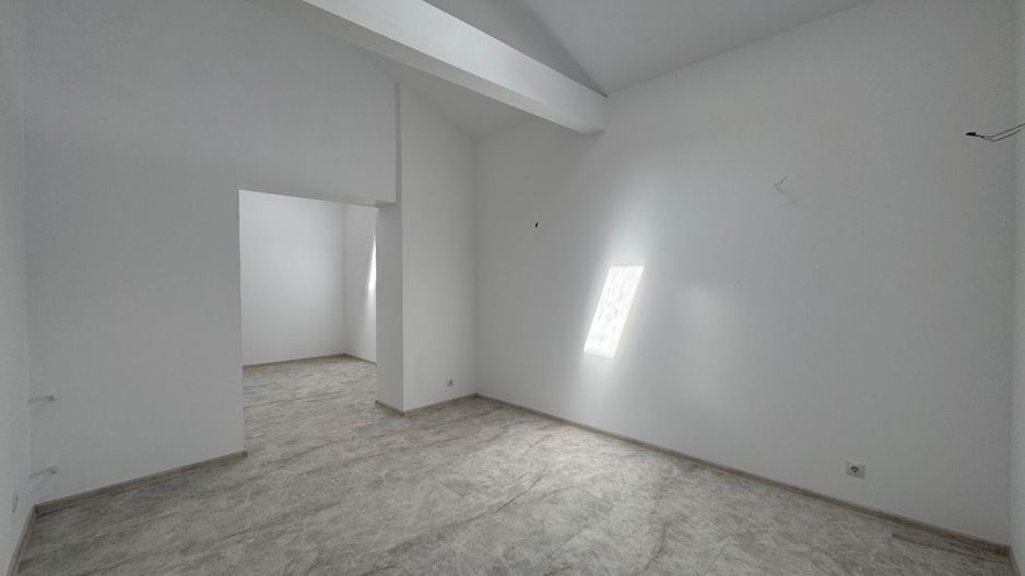 VILĂ CU POTENȚIAL MULTIPLU| HERASTRAU - Poză 14