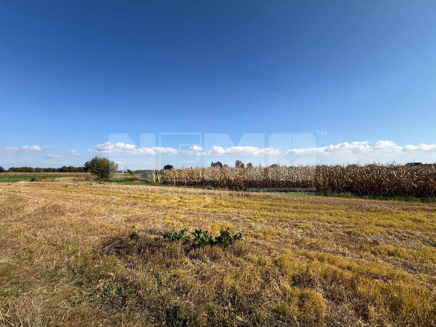 Teren intravilan | Volovat | 2200 mp - Poză 4