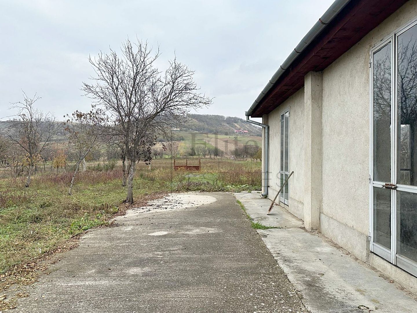 Casa cu 3 Hale si teren 8000 mp in Ulileacu de Cris, Bihor - Poză 11