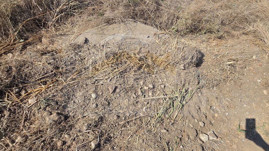 Teren intravilan 5.450 mp – Strada Castanilor, Ciorogârla – zonă rezidențială în - Poză 3