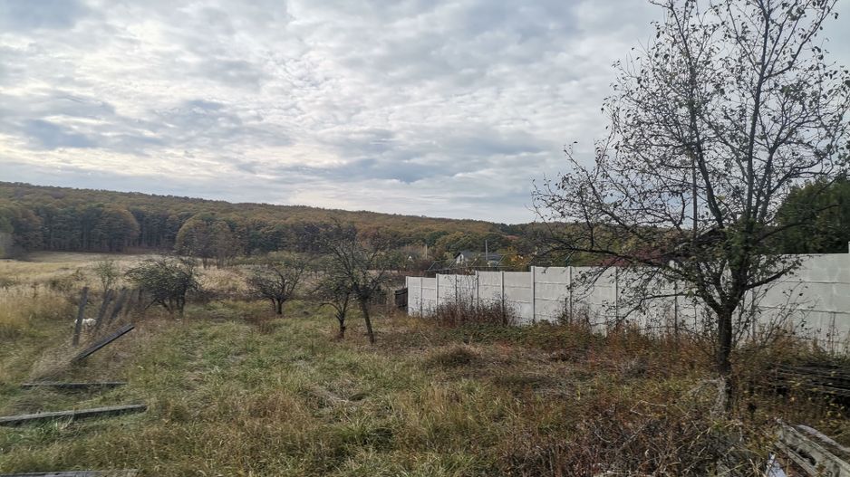 Vanzare vila Hintesti, stradal - Poză 8