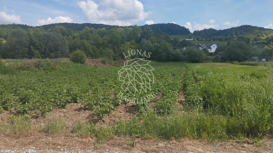 Teren 5832 mp-ideal lac, investitie, cabana, gradina-Slatinita - Poză 3