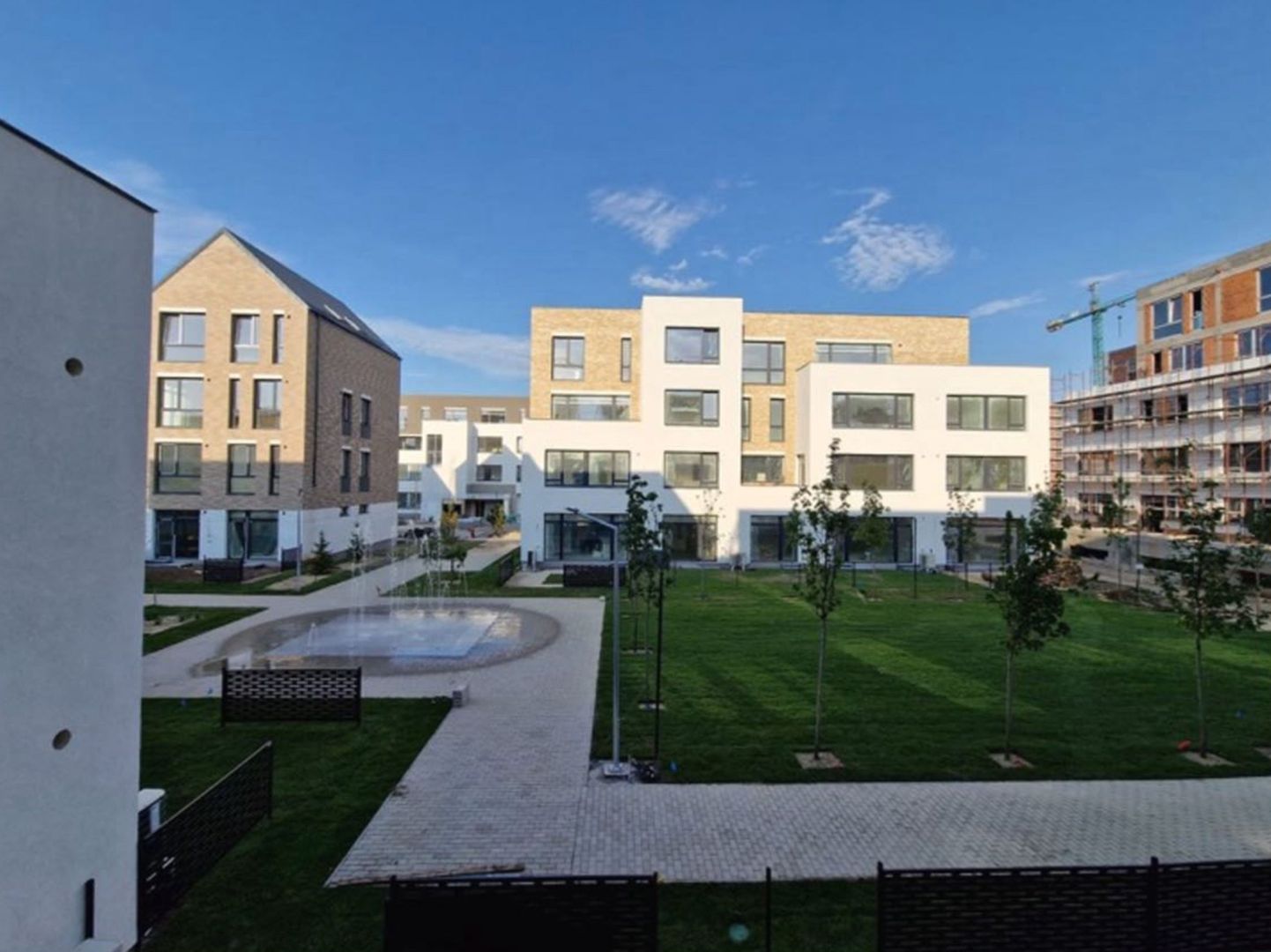 CATTED FAMILY - Poză 5