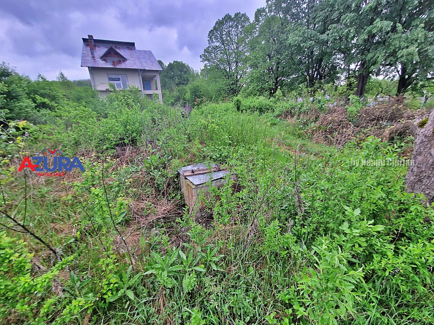 AZURA Imobiliare - Casa cu Teren Budeasa Galasesti - Poză 26