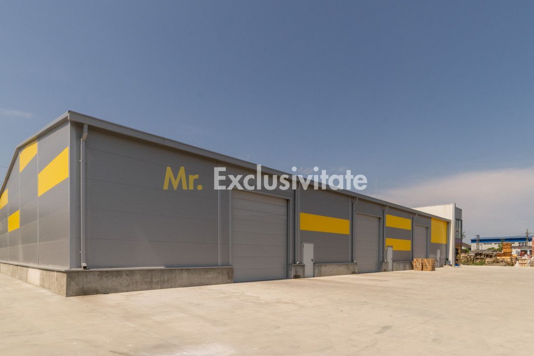 Inchiriere hala noua zona Bascov la DN 7C - Poză 12