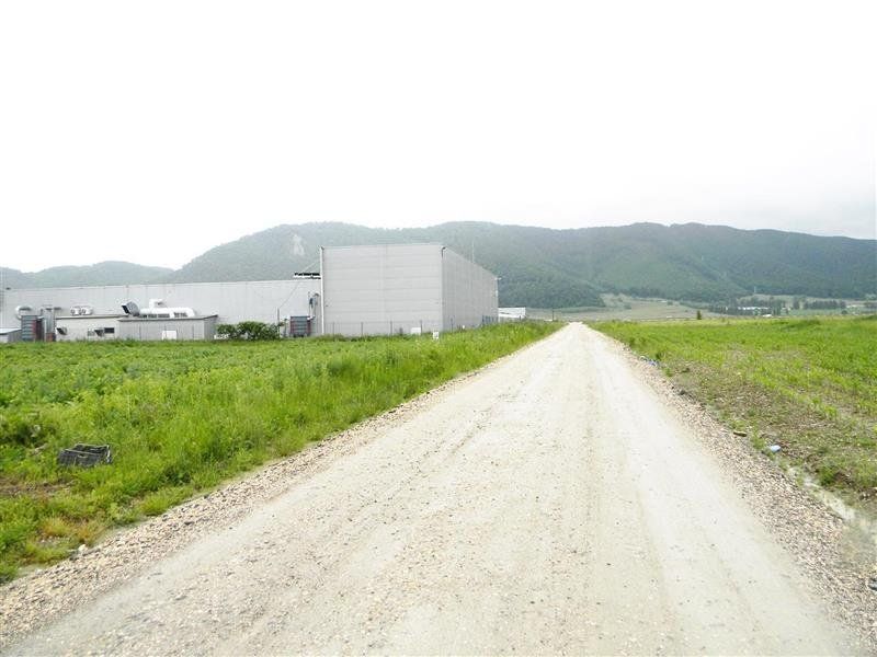 Teren pentru hale-Ghimbav-Joysonquin - Poză 6