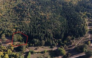 Aproape de Brașov, departe de agitație - Teren cu pădure în Cristian - Poză 4