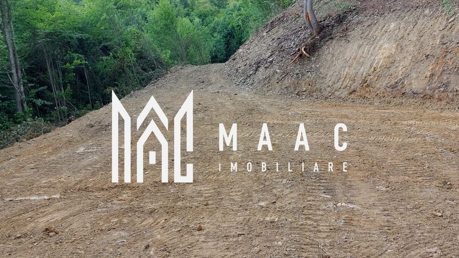 5000 teren in Muntii Apuseni I Pregatit pentru constructie - Poză 16