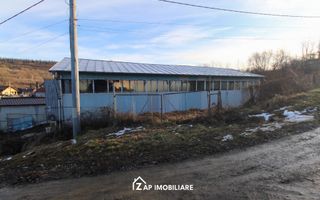 Spațiu industrial în Bardesti - Poză 7