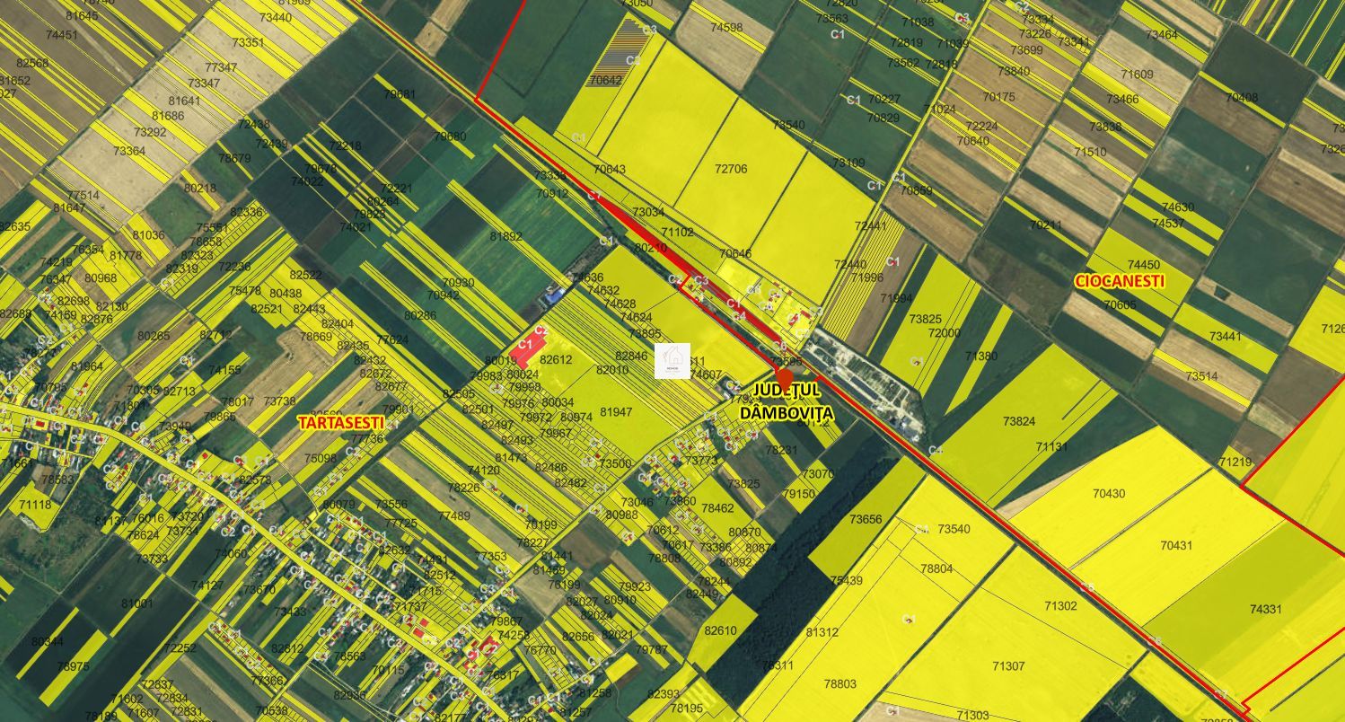 Teren extravilan agricol Tartasesti - Poză 2