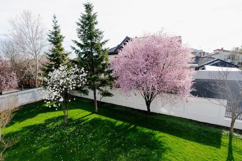 Superba Vila Teren 1.000 mp - Pipera - - Poză 5