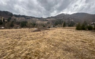 TEREN INTRAVILAN 500 MP SĂTIC- RUCĂR - Poză 13