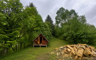 CASA LA ROSU | 12 ARI | SUCEVITA | LANGA PADURE - Poză 5