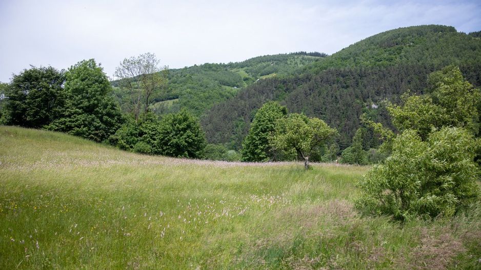 Teren intravilan - 1.050 mp în Bran cu utilitati – priveliște Bucegi - Poză 8