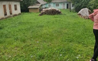 Casa de vanzare Luncasi - Poză 2