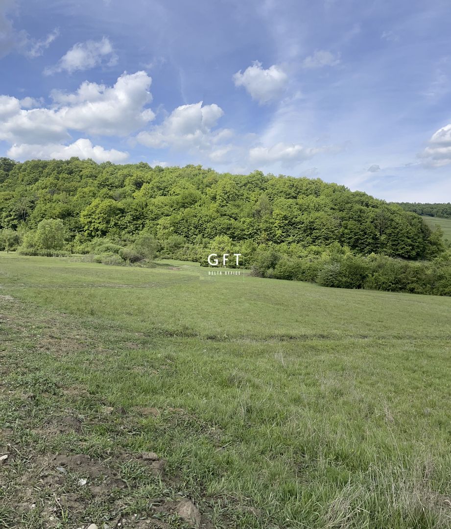 Teren extravilan 10000 mp, Jelna. - Poză 16