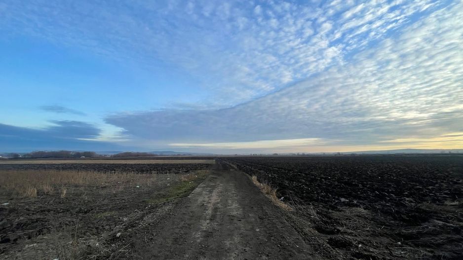 TEREN EXTRAVILAN | 82 ARI | PERIFERIA ORASULUI - Poză 8