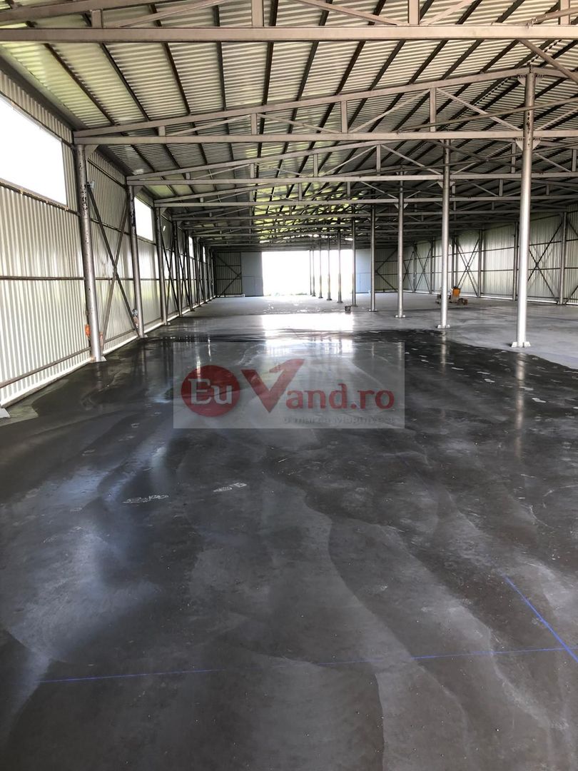 Hala 1.533 mp cu teren 5.000 mp – Vanatori, zona Maylo - Poză 10