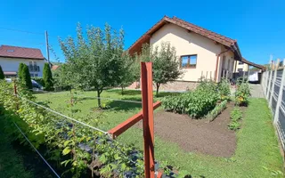 Casa de Vanzare | Individuala | 5 Camere |  184 MPU | Sura Mare - Poză 26