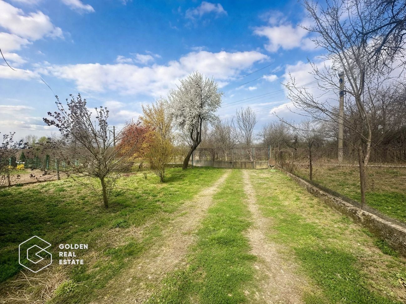 Casă cu teren generos 1.944 mp, Măgulicea, Vârfurile - Poză 14