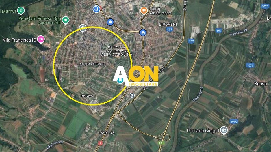 Teren intravilan, 534 mp, zona rezidentiala selecta, Cetate - Poză 2