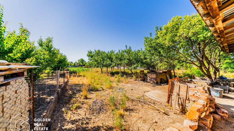 Casa situata in Pecica, 1602 mp - Poză 23