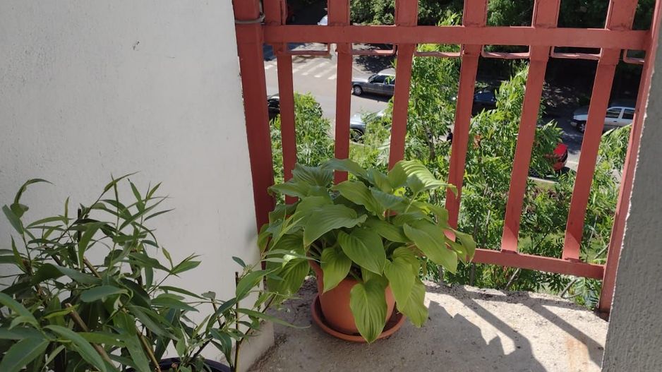 Garsoniera Aviatiei | Herastrau - Poză 5