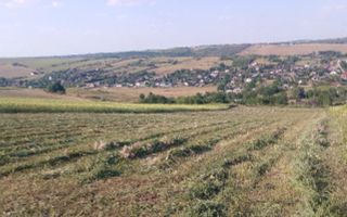 Teren extravilan de vânzare în Vânători, comuna Popricani - Poză 3