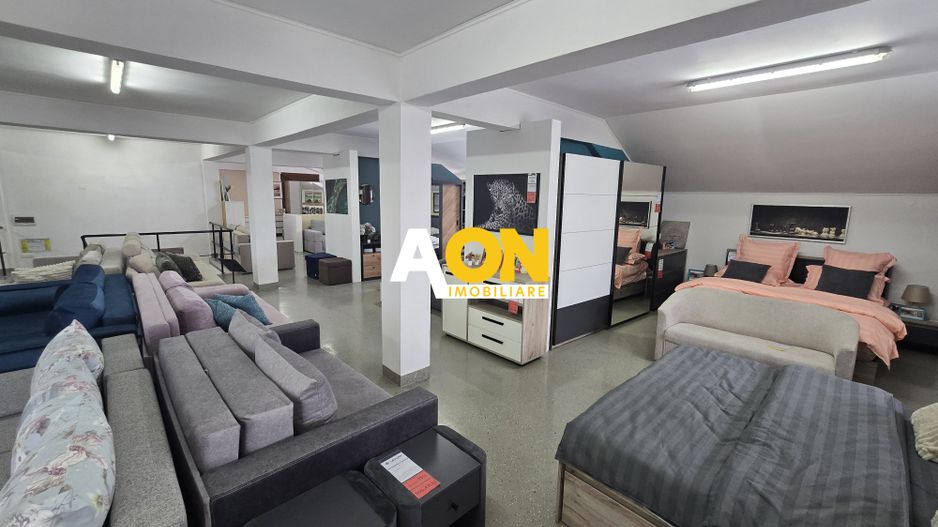 Spatiu Comercial si Apartament Zona Cetate, 1143mp Construiti - Poză 6