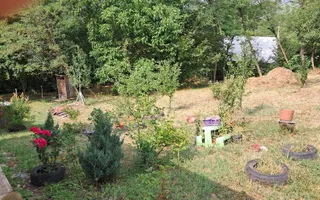 Casa si teren 2000 mp - Poză 11
