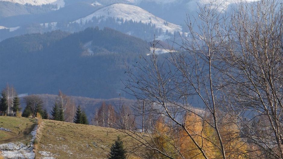 In locatia de basm: - Pestera, Moieciu, Brasov, utilitati, accesibilitate - Poză 13