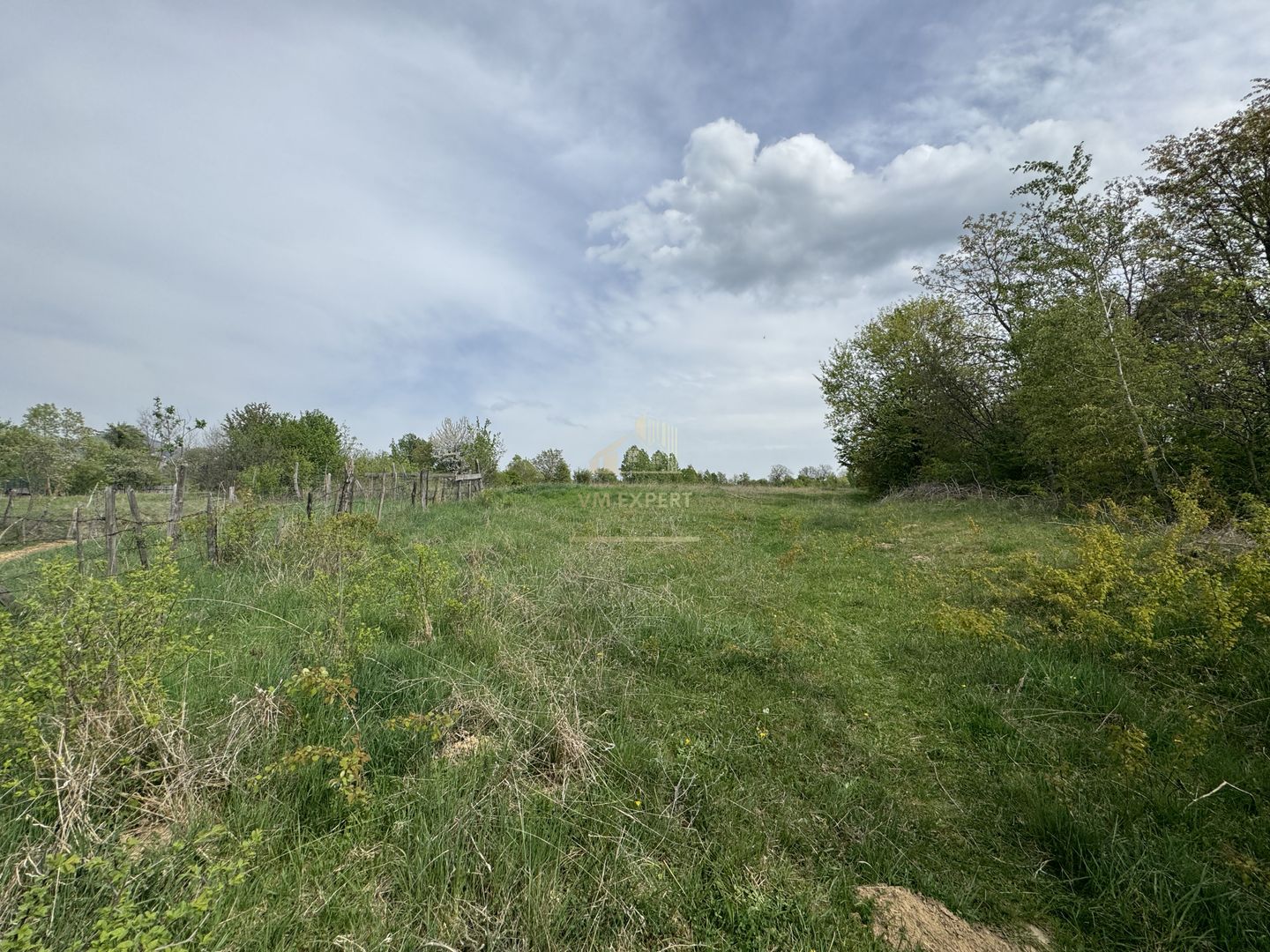 TEREN INTRAVILAN, 7472 MP, VALEA MARE PRAVAT, ARGES - Poză 6