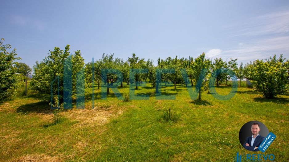 Casǎ de vânzare 200 mp în Letea Veche - Poză 6