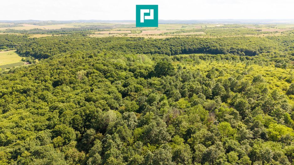 TEREN AGRICOL EXTRAVILAN  22.900 MP LIPOVA - Poză 13
