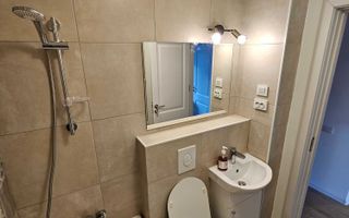 Vanzare apartament 2 camere Drumul Taberei - Poză 5