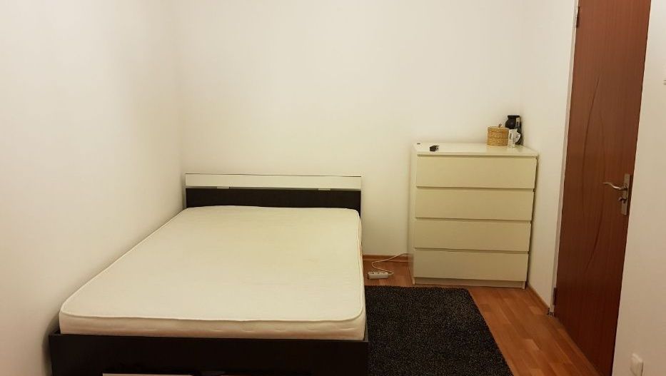Apartament 3 camere de vanzare Pacii - Poză 4