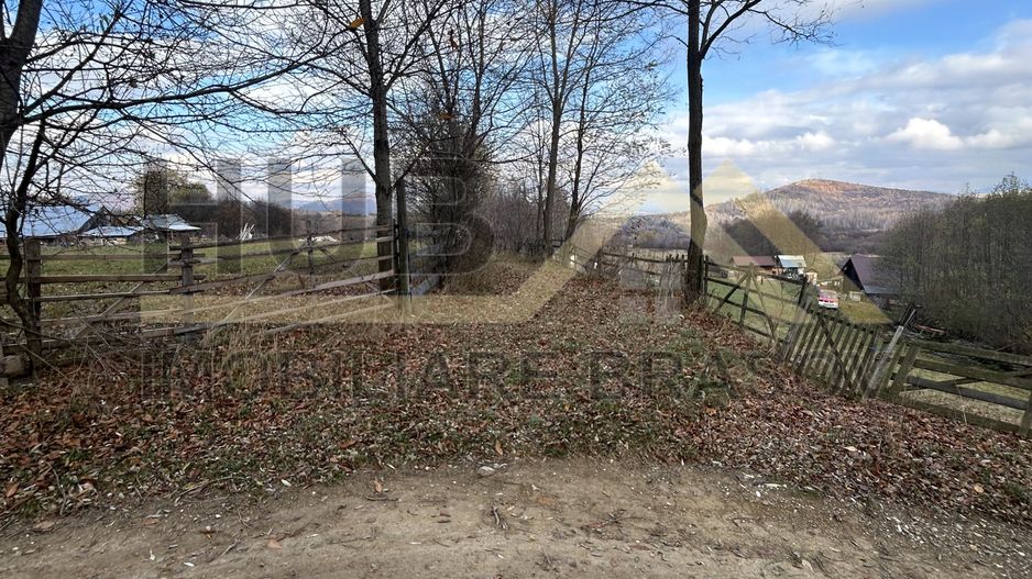 Teren Zarnesti | Tohanita | Intravilan | PUZ aprobat | Fara Utilitati | 9.053mp - Poză 18