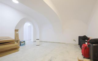 Sub mantia arhitecturala istorica a Cetatii Timisoarei, Spatiu comercial - Poză 25