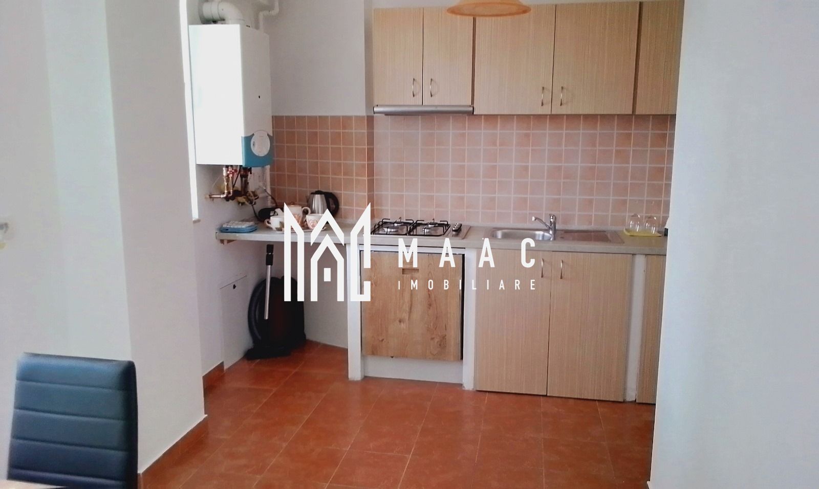 Apartament 1 Camera | 36MPU | Pet Friendly | Turnisor - Poză 6