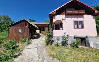 Căsuță autentică românească între două dealuri–colț de liniște  în Botesti, Arge - Poză 2