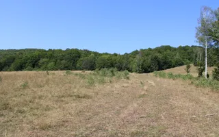 Terenuri Carpinis I parcelabil I Curent pe proprietati - Poză 31