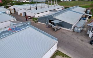 COMISION 0% - HALE Calinesti Arges - Poză 87