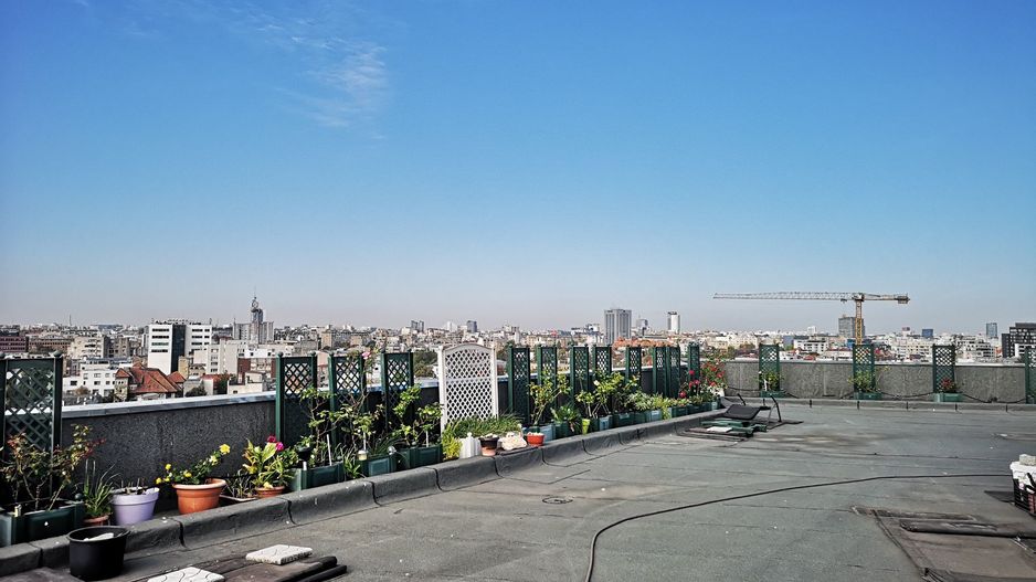 Duplex Maria Rosetti - Poză 8