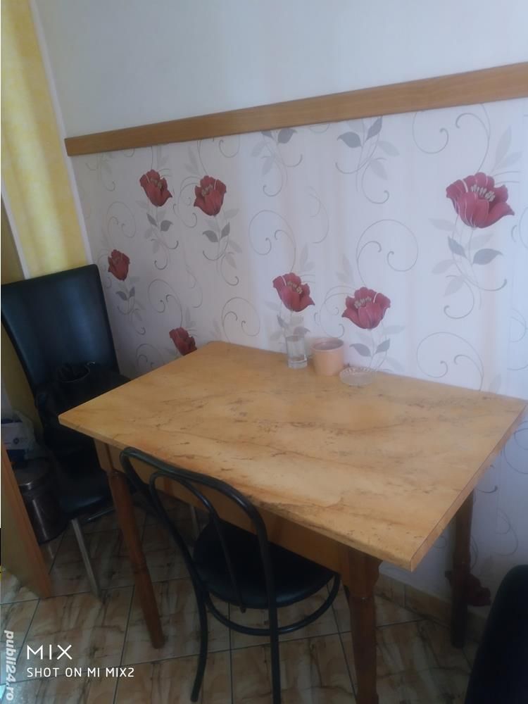 2 cam Torontalului/Lidl Centrala proprie - Poză 4