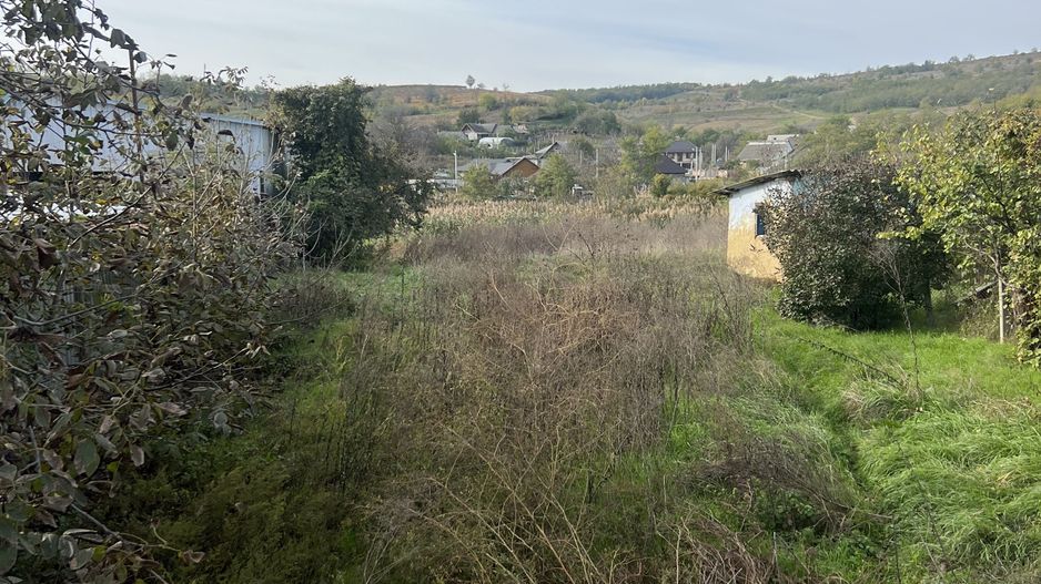 Teren pentru Constructii 32 Ari in Molesti - Poză 3