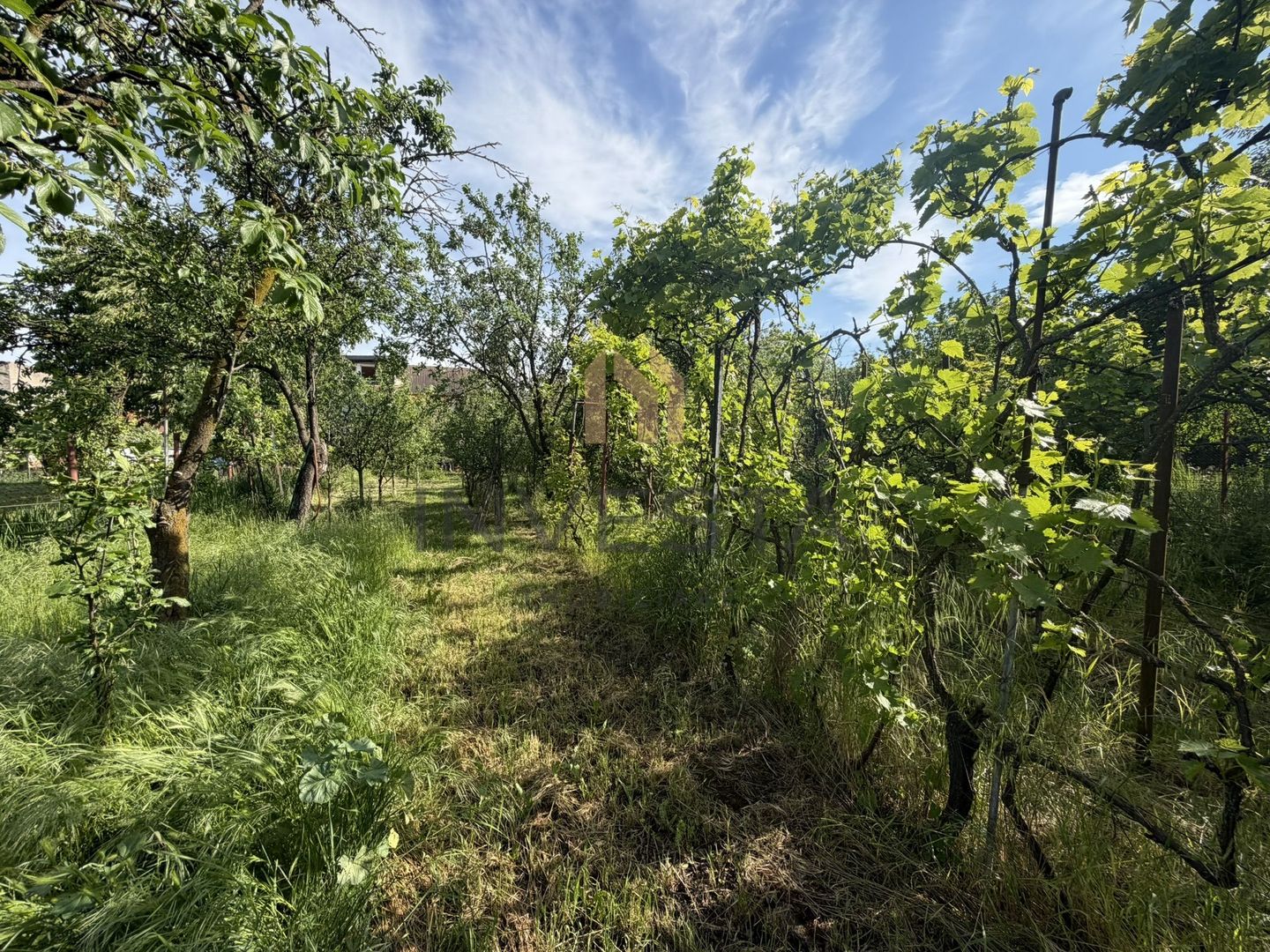 Casa de vanzare cu teren de 800 mp, cartier Gheorgheni - Poză 25