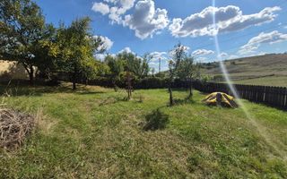 Casă cu anexe și teren de 25 de ari, Buznea, Târgu Frumos, Iași - Poză 3