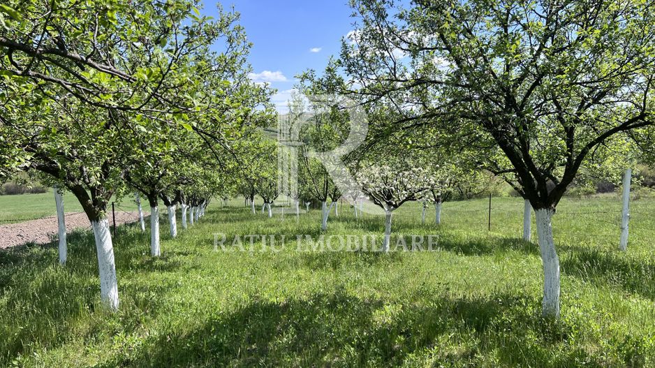 Casă de vacanță + livadă | teren 3000 mp | Chijic | Bihor - Poză 17