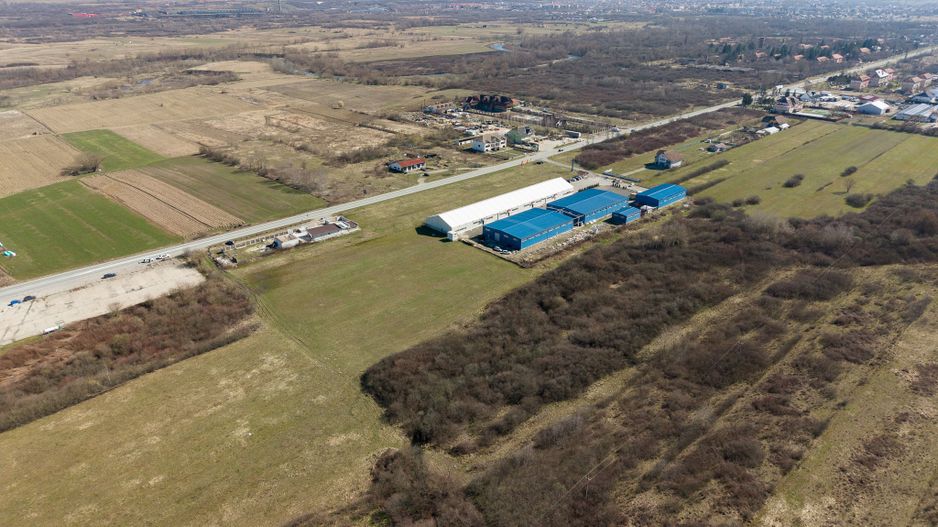 Teren extravilan de 7.000 mp lângă Păltiniș - Poză 12