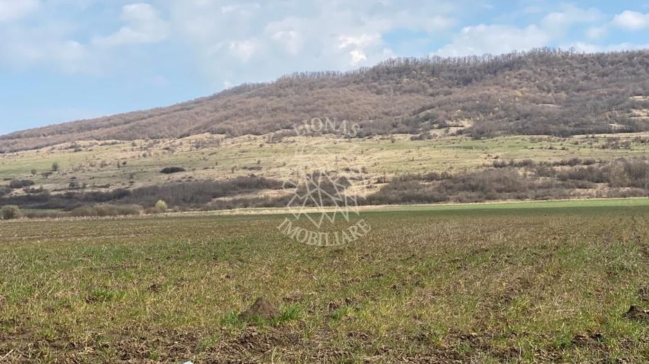 Teren Intravilan-3750mp- zona in plina dezvoltare-Podirei - Poză 1